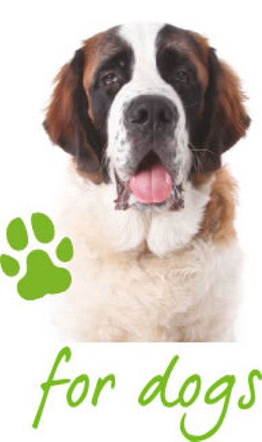 Doggies too!