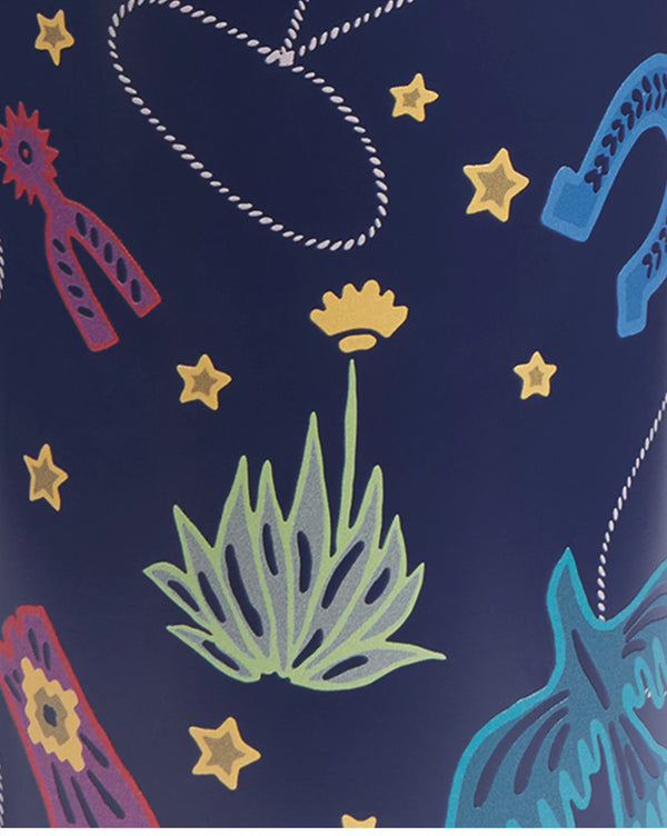 Cosmic Rodeo Insulated Bottle