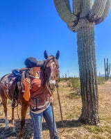 Saguaro Sunset Tee