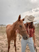 Deschutes Wild Horses