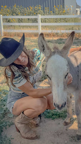 Striped Wild West Tee