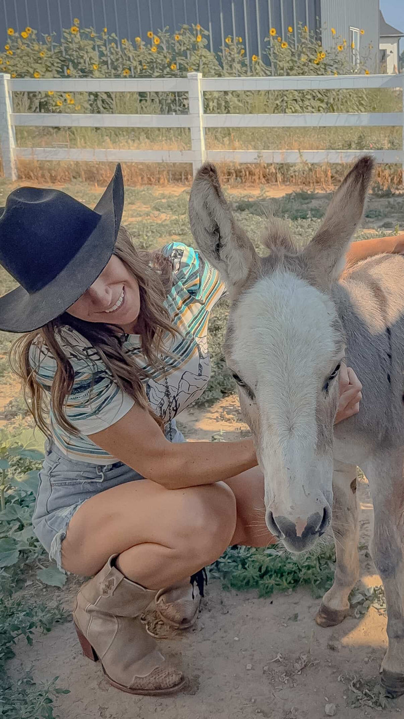 Striped Wild West Tee