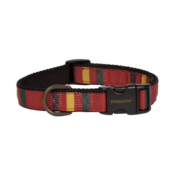 Mt. Rainier National Park Hiker Collar & Leashes