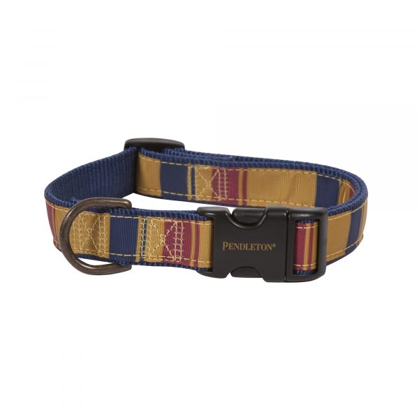 Yellowstone National Park Hiker Collar & Leashes