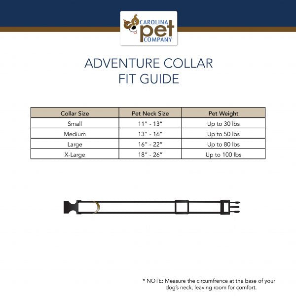 Falcon Cove Collar & Leashes