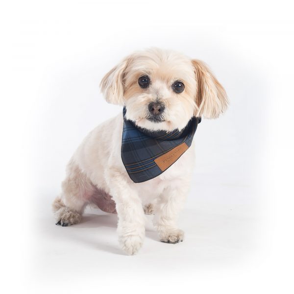 Plaid Pet Bandana Gift Set