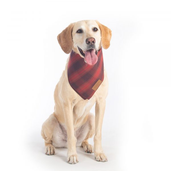 Plaid Pet Bandana Gift Set