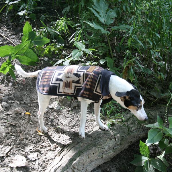 Harding Dog Coat